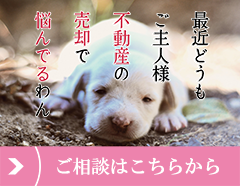 タイトル1